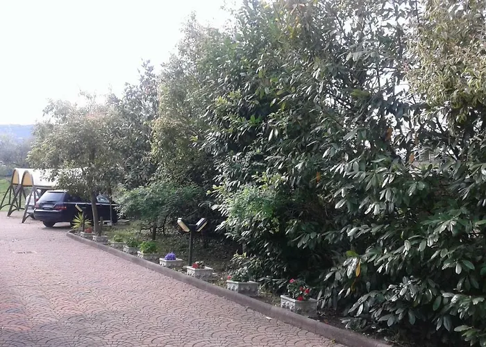 Bed and Breakfast Le Palme Chieti